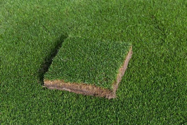 NFLPA President JC Tretter Demands High-Quality Grass Fields Following FIFA World Cup Standards