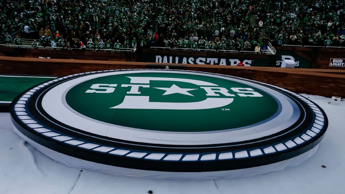 Dallas Stars Indefinitely Ban Fan Following Investigation into Alleged Nazi Salute