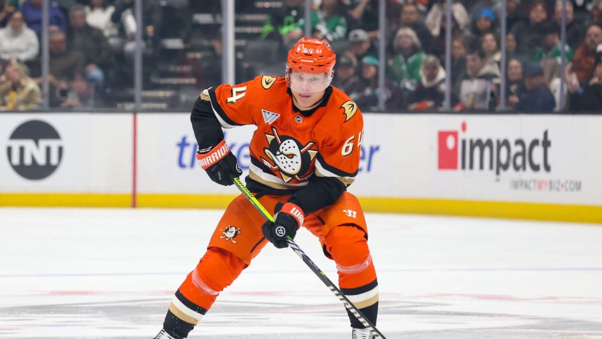 NHL Fantasy Hockey Playoff Guide: Expert Strategies to Win Your League