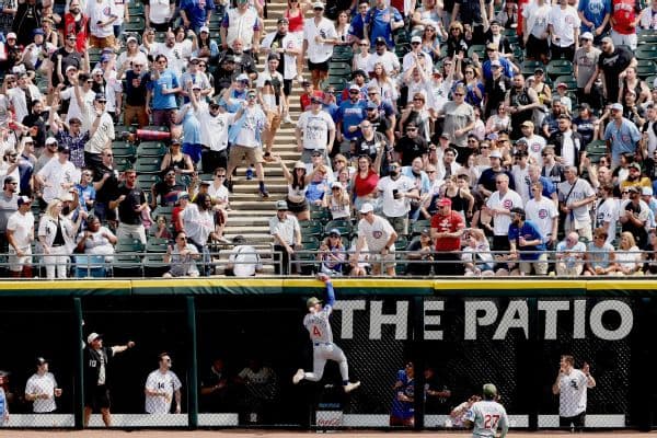 Cubs' Pete Crow-Armstrong Regrets 'Choice of Words' in Heated Exchange with Fan