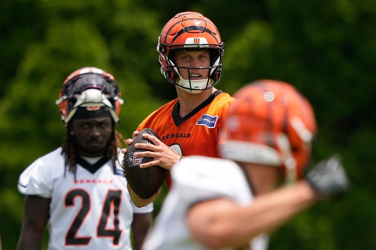 Cincinnati Bengals Front Office Confident in Contender Status Following Dexter Lawrence Acquisition
