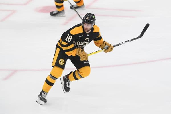 Czechia Loses Bruins' Pavel Zacha for 2026 Olympics Due to Injury