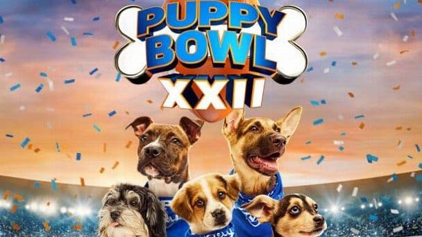 Puppy Bowl XXII to Feature New Halftime Game for Senior Dogs