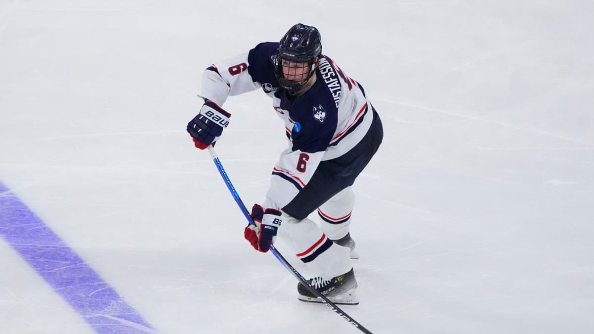 Minnesota Wild Sign College Free Agent Defenseman Viking Gustafsson Nyberg to Entry-Level Deal